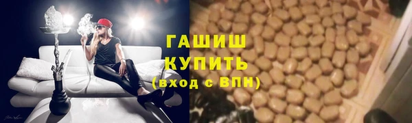 прущие грибы Алзамай