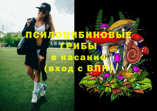 скорость Пересвет