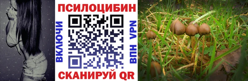 Псилоцибиновые грибы мицелий  Ухта 
